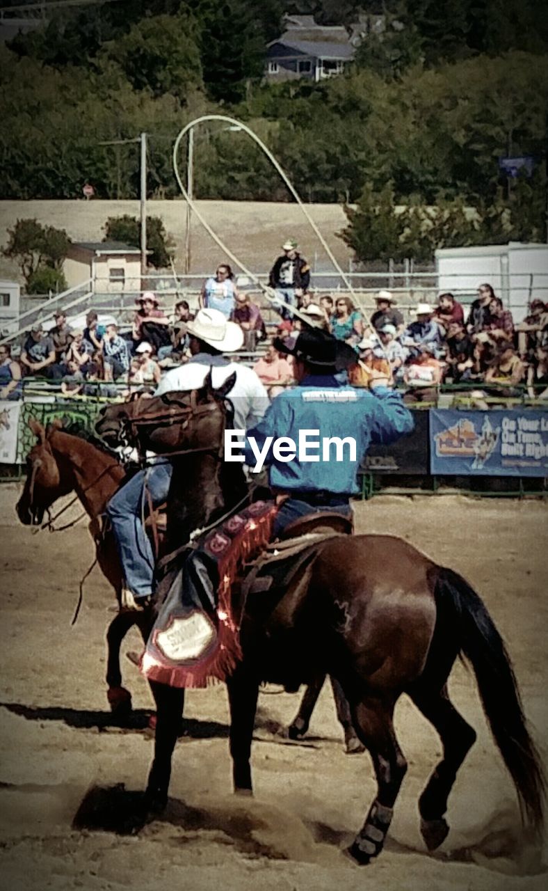 REAR VIEW OF MAN RIDING HORSE CART IN