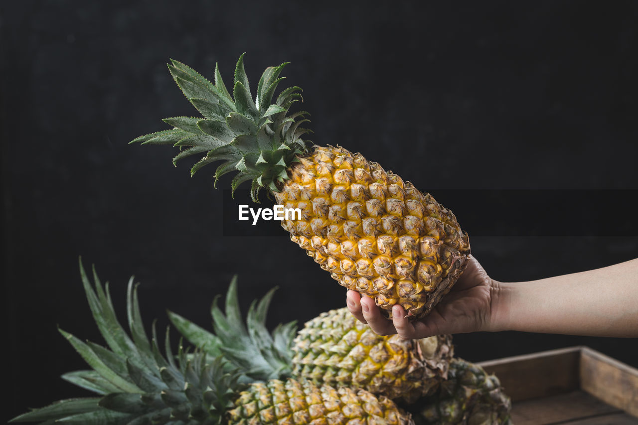 Close-up of person holding pineapple