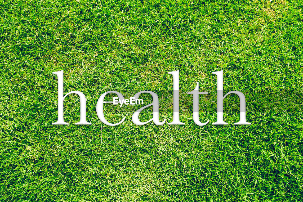 Directly above shot of health text on grass