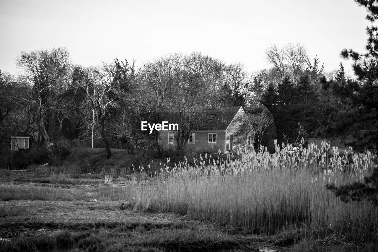 HOUSES ON GRASSY FIELD