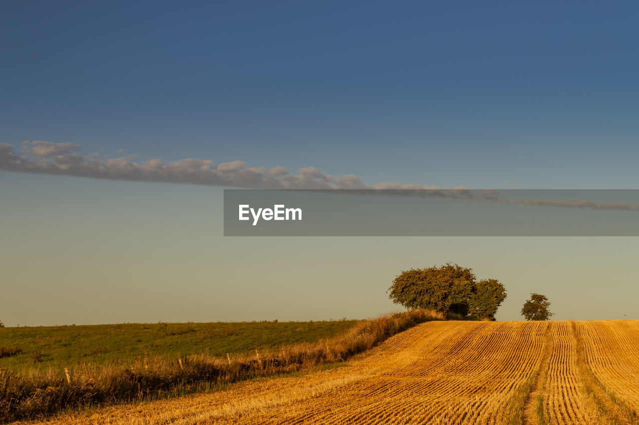 SCENIC VIEW OF FARM AGAINST SKY