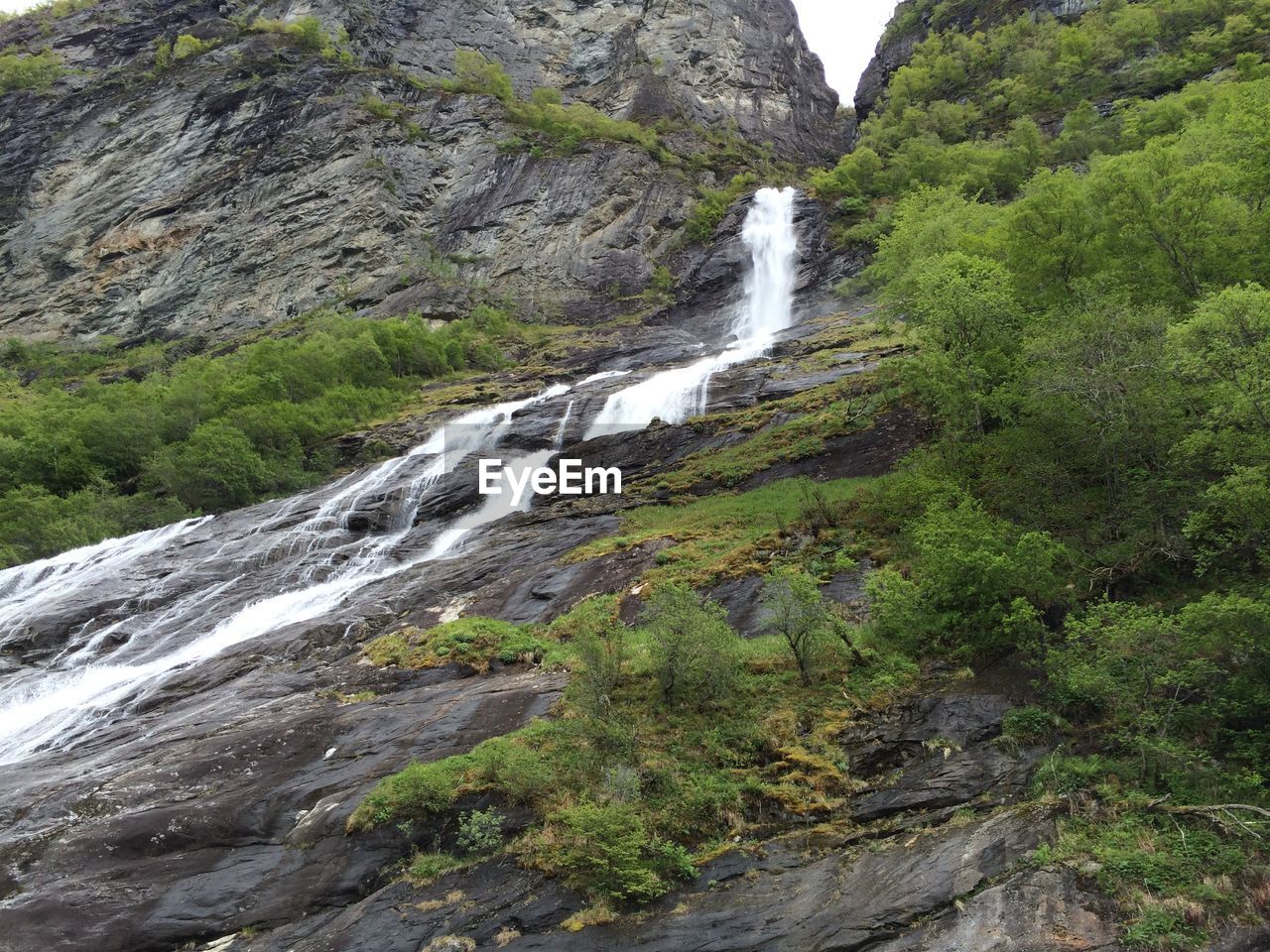 SCENIC VIEW OF WATERFALL