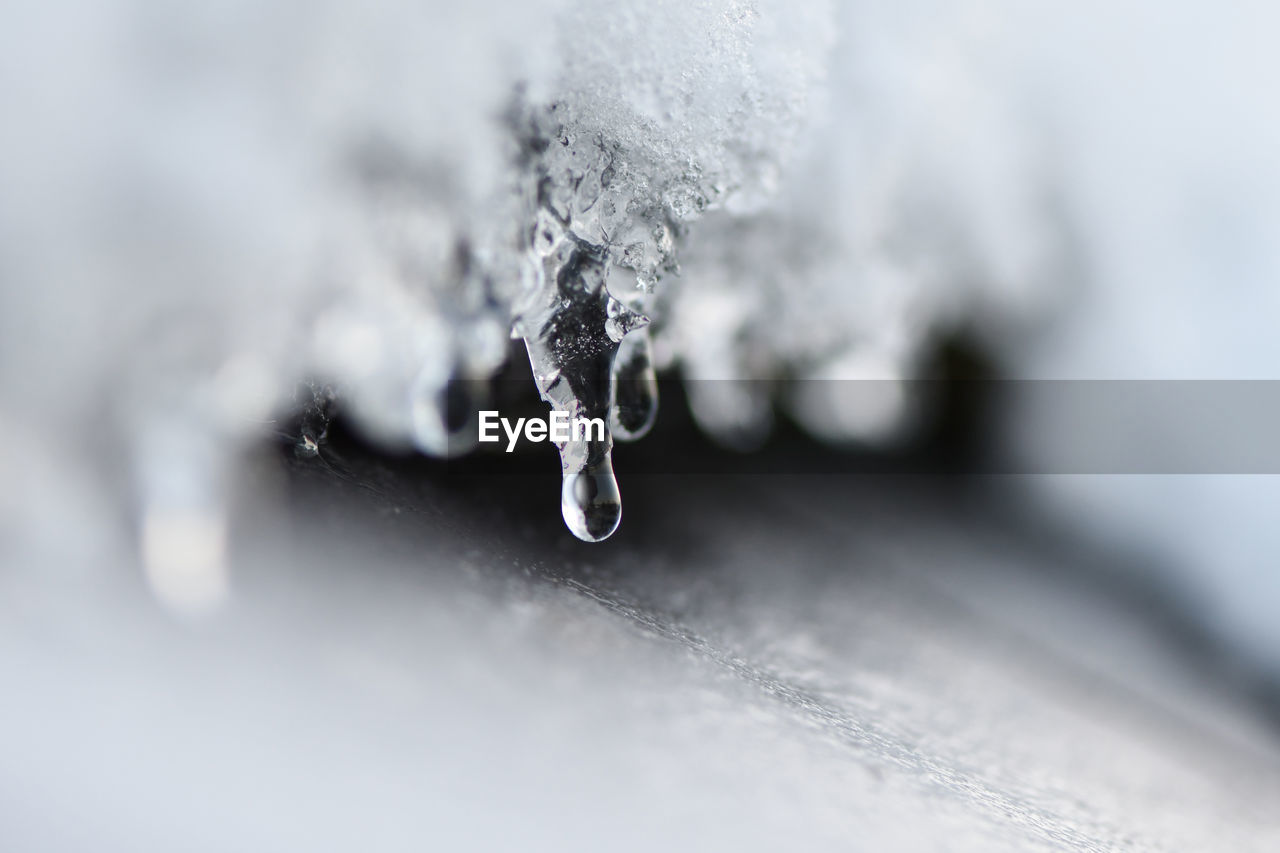 CLOSE-UP OF ICICLES