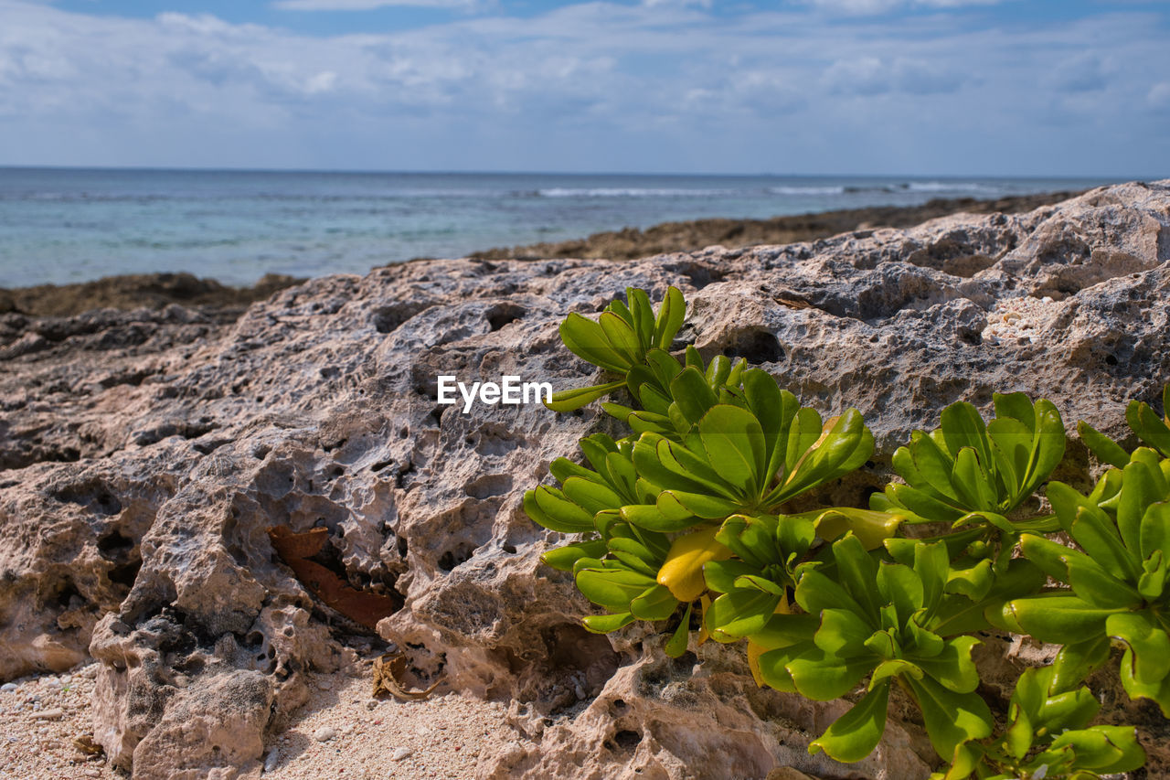 Scenic view of caribbean sea against sky