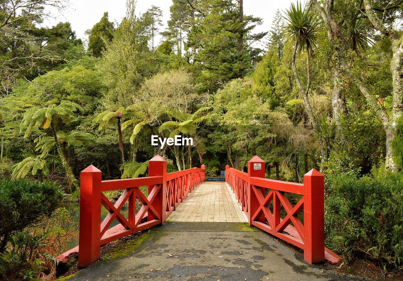 VIEW OF FOOTBRIDGE AMIDST TREES