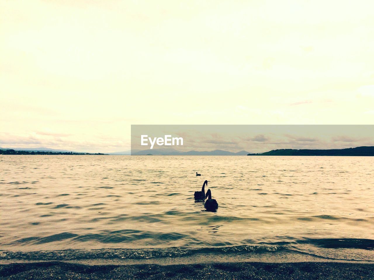 MAN SITTING ON SHORE AGAINST SKY DURING SUNSET