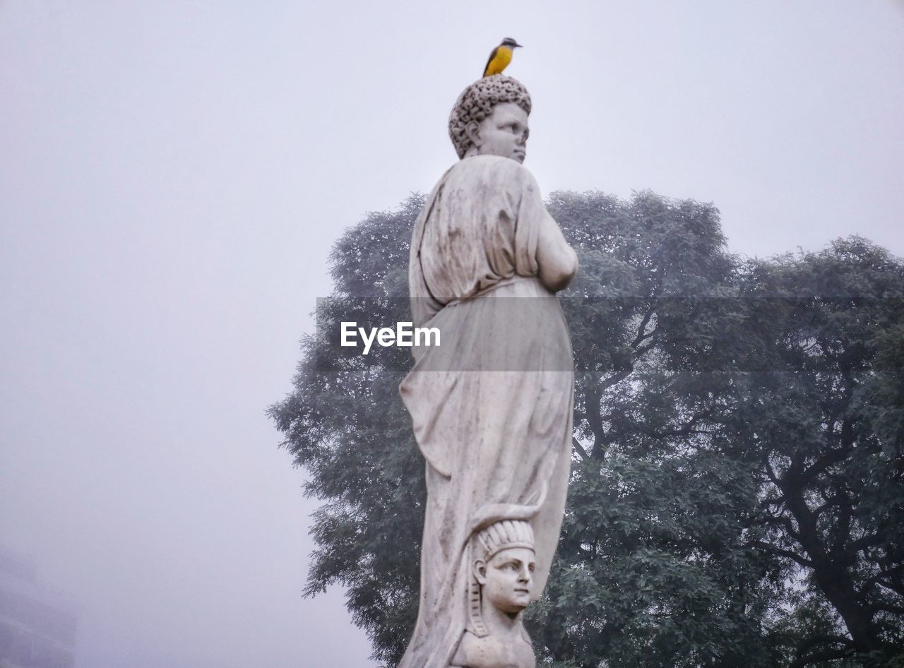 LOW ANGLE VIEW OF STATUE AGAINST TREES AGAINST SKY