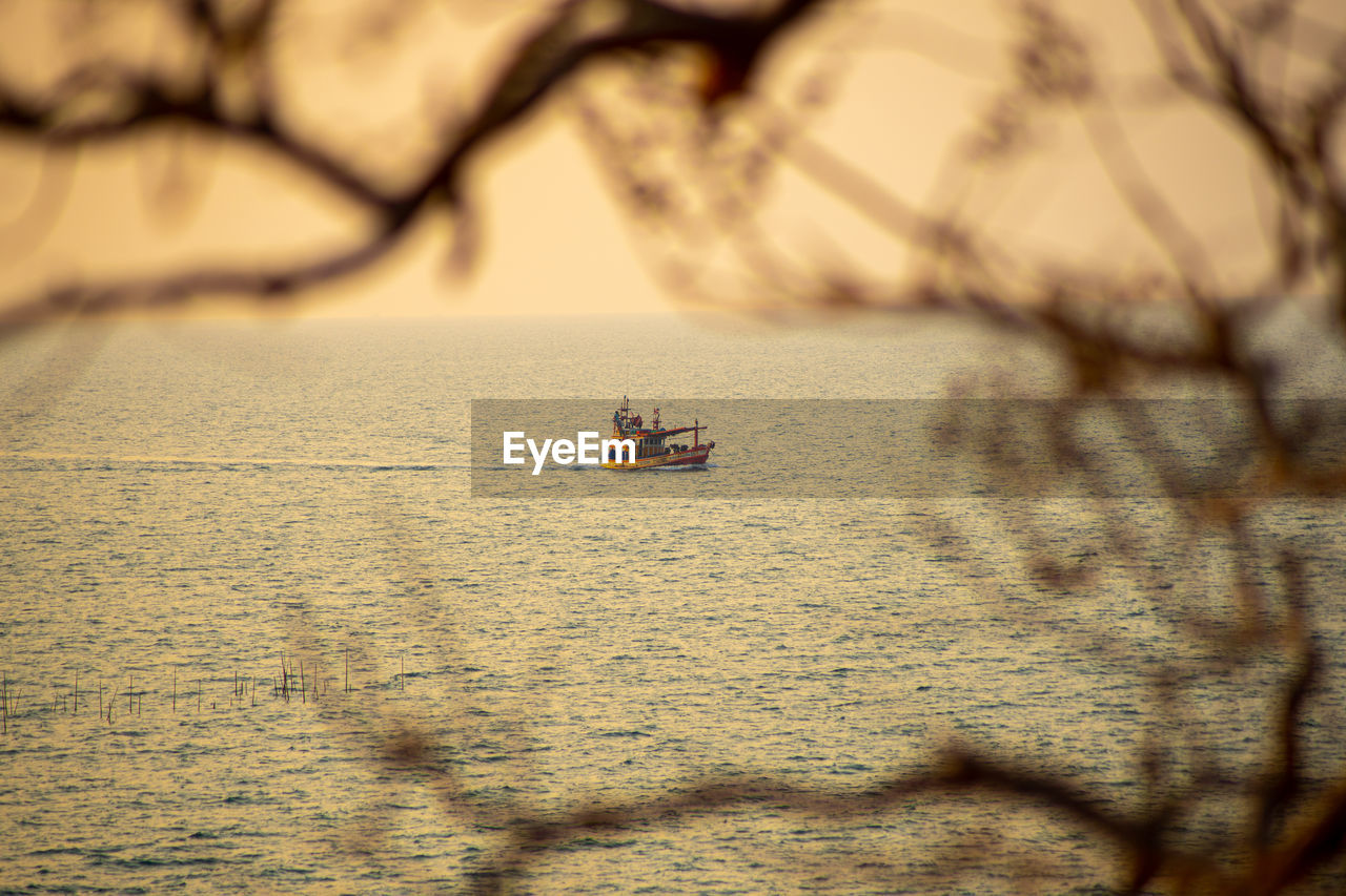 PEOPLE SAILING ON SEA