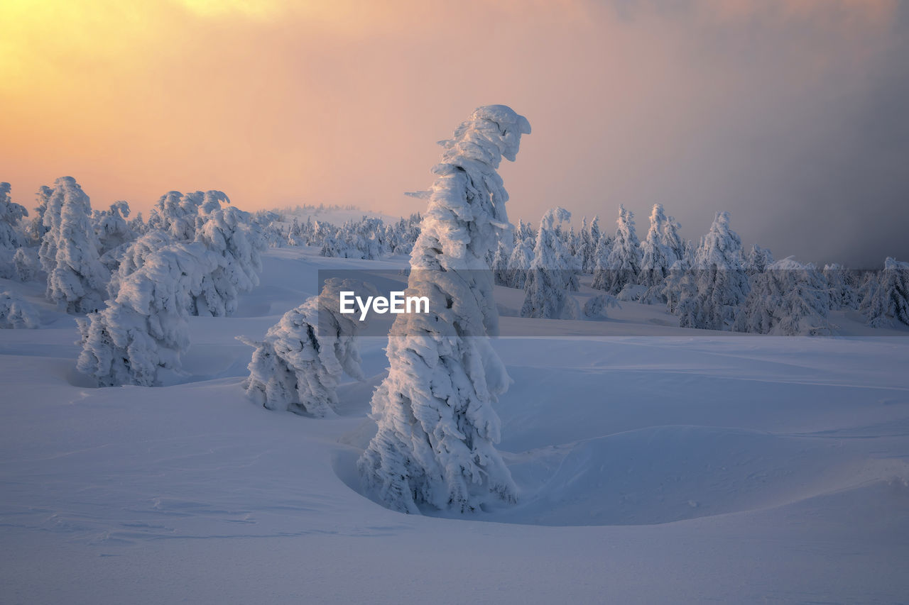 Winter landscape in the apuseni mountains, romania