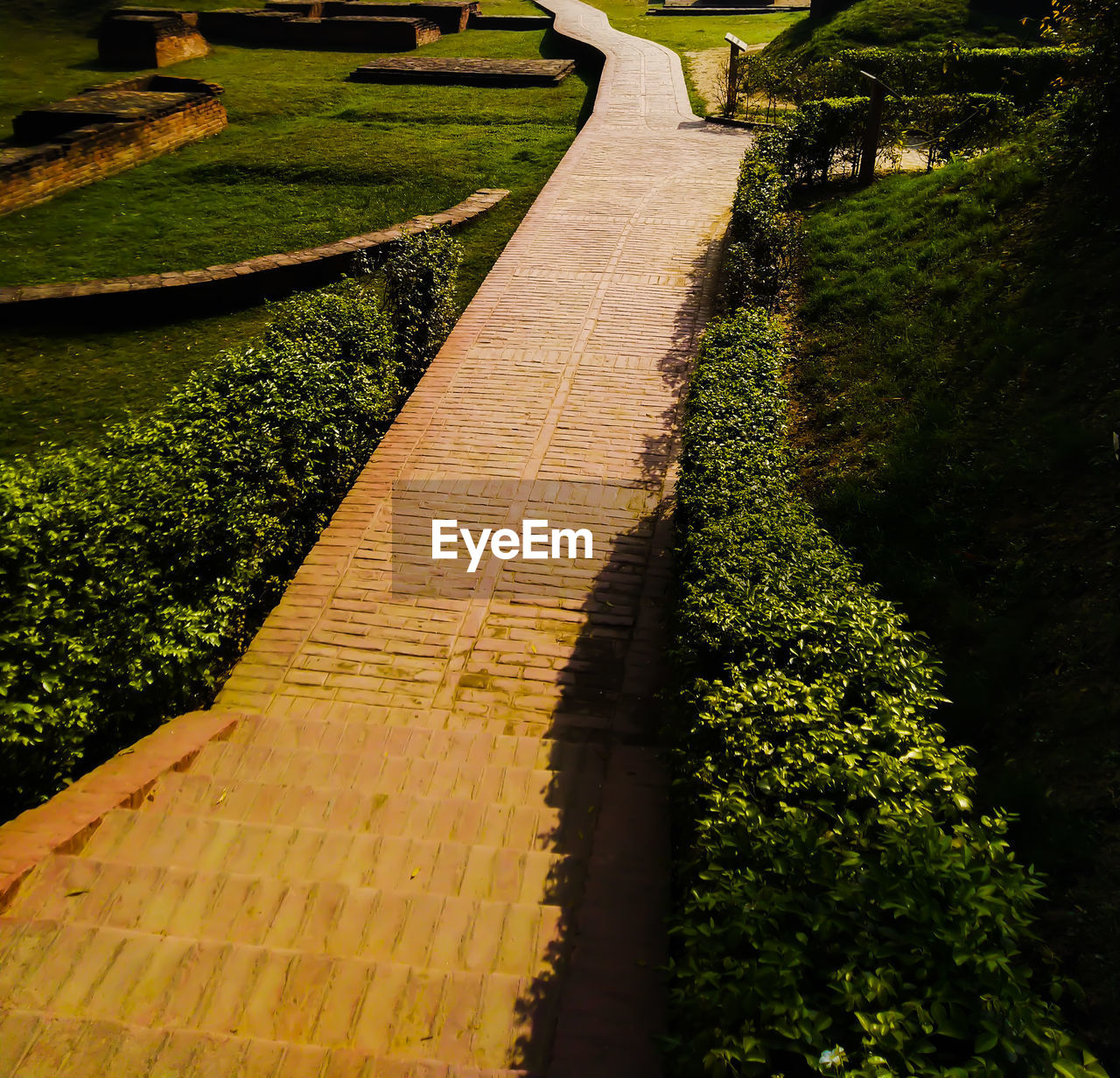 HIGH ANGLE VIEW OF PLANTS IN PARK