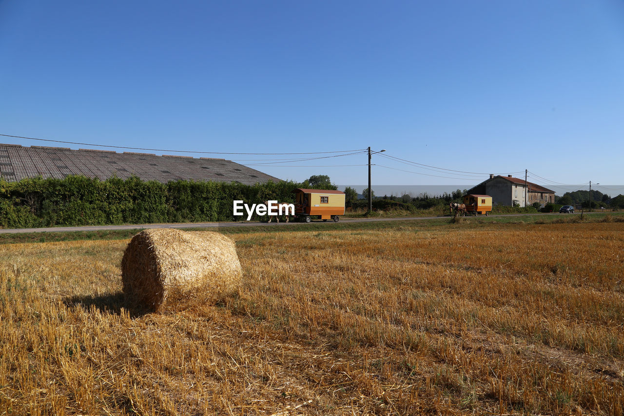 SCENIC VIEW OF FIELD AGAINST CLEAR SKY