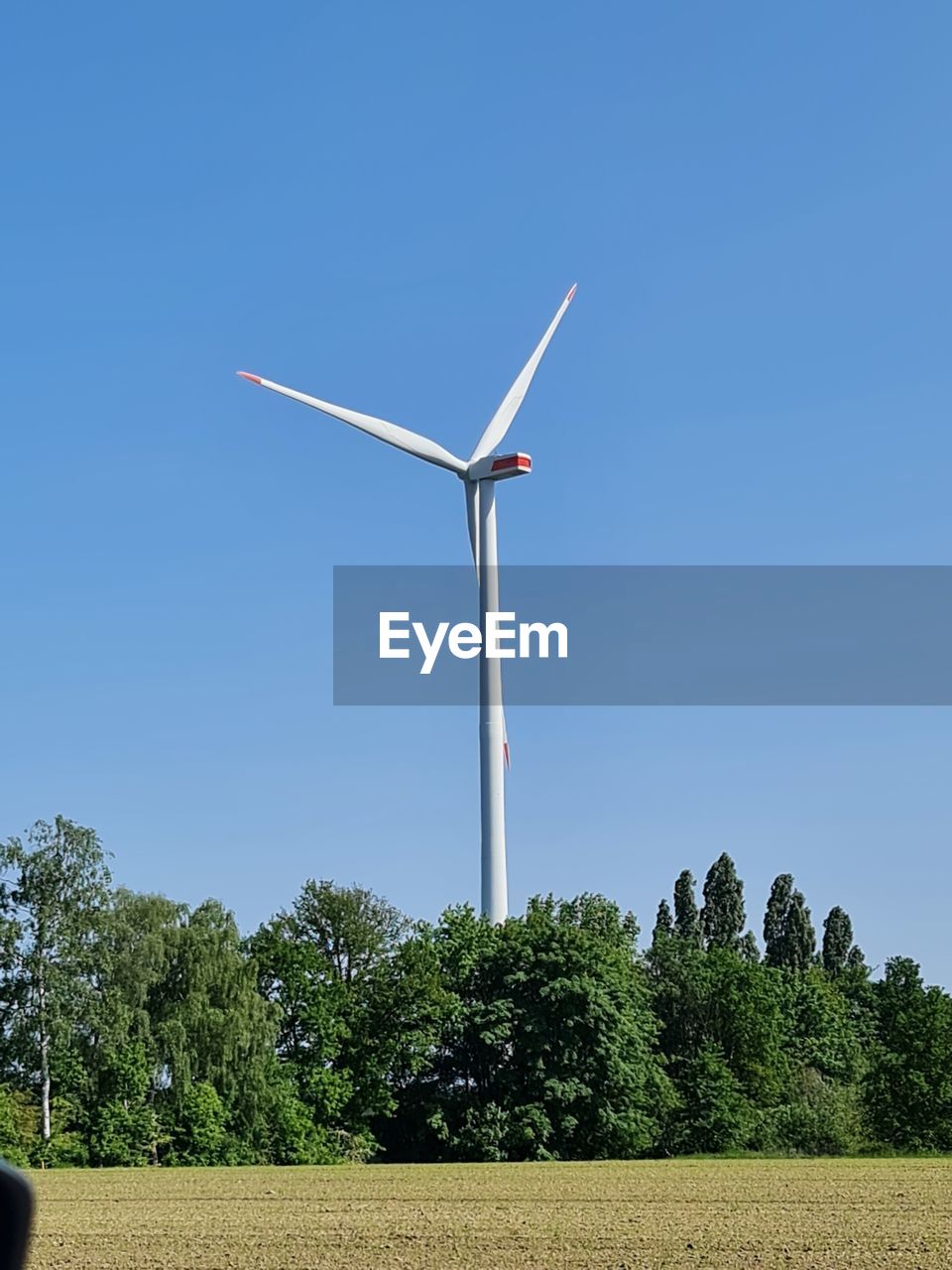 environmental conservation, renewable energy, sky, alternative energy, wind turbine, turbine, wind power, tree, power generation, blue, nature, plant, clear sky, environment, windmill, day, outdoors, wind, low angle view, no people, sunny, sustainable resources, technology, machine, copy space