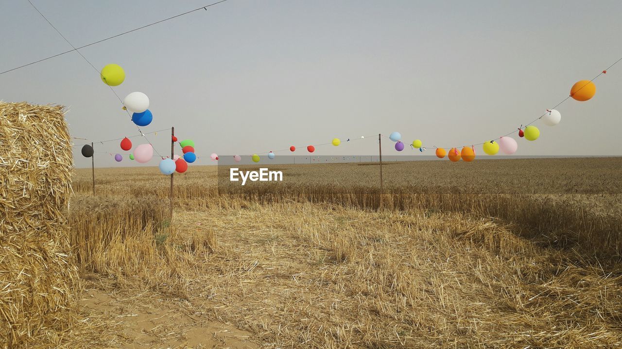 LOW ANGLE VIEW OF BALLOONS AGAINST SKY