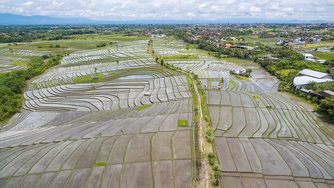 Scenic view of agricultural landscape against sky