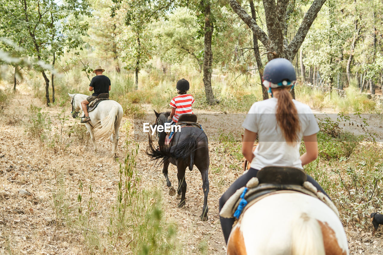 Back view of faceless people in jockey caps and casual clothes sitting in saddle on horses with bridles while riding near trees and plants in forest in daytime
