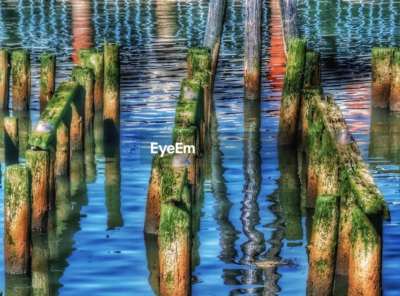 PANORAMIC SHOT OF WOODEN POSTS IN LAKE