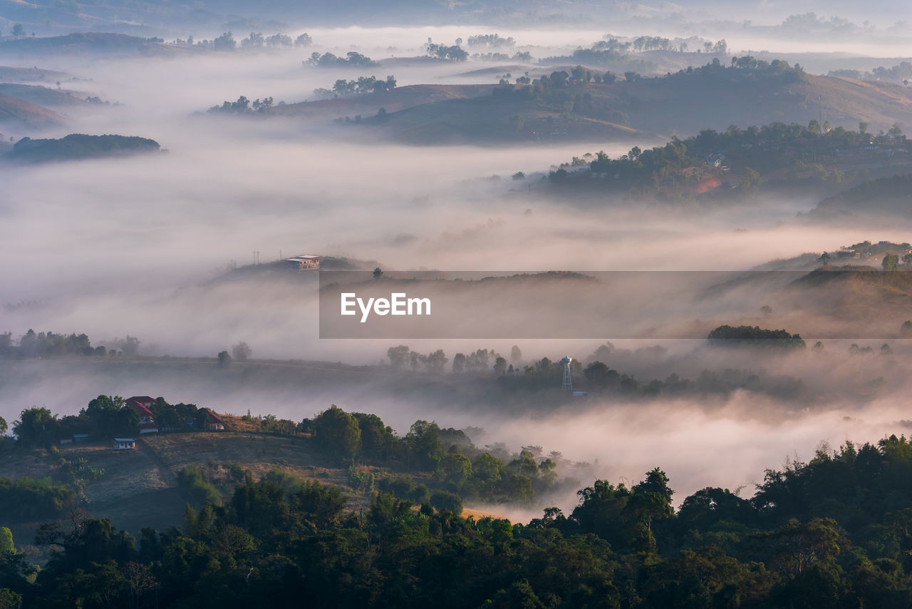 High angle view of trees against sky