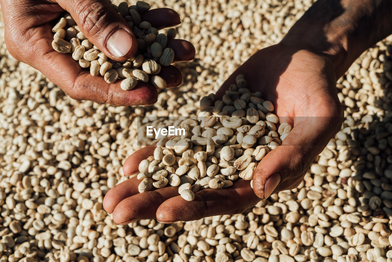 High angle view of hand holding coffee