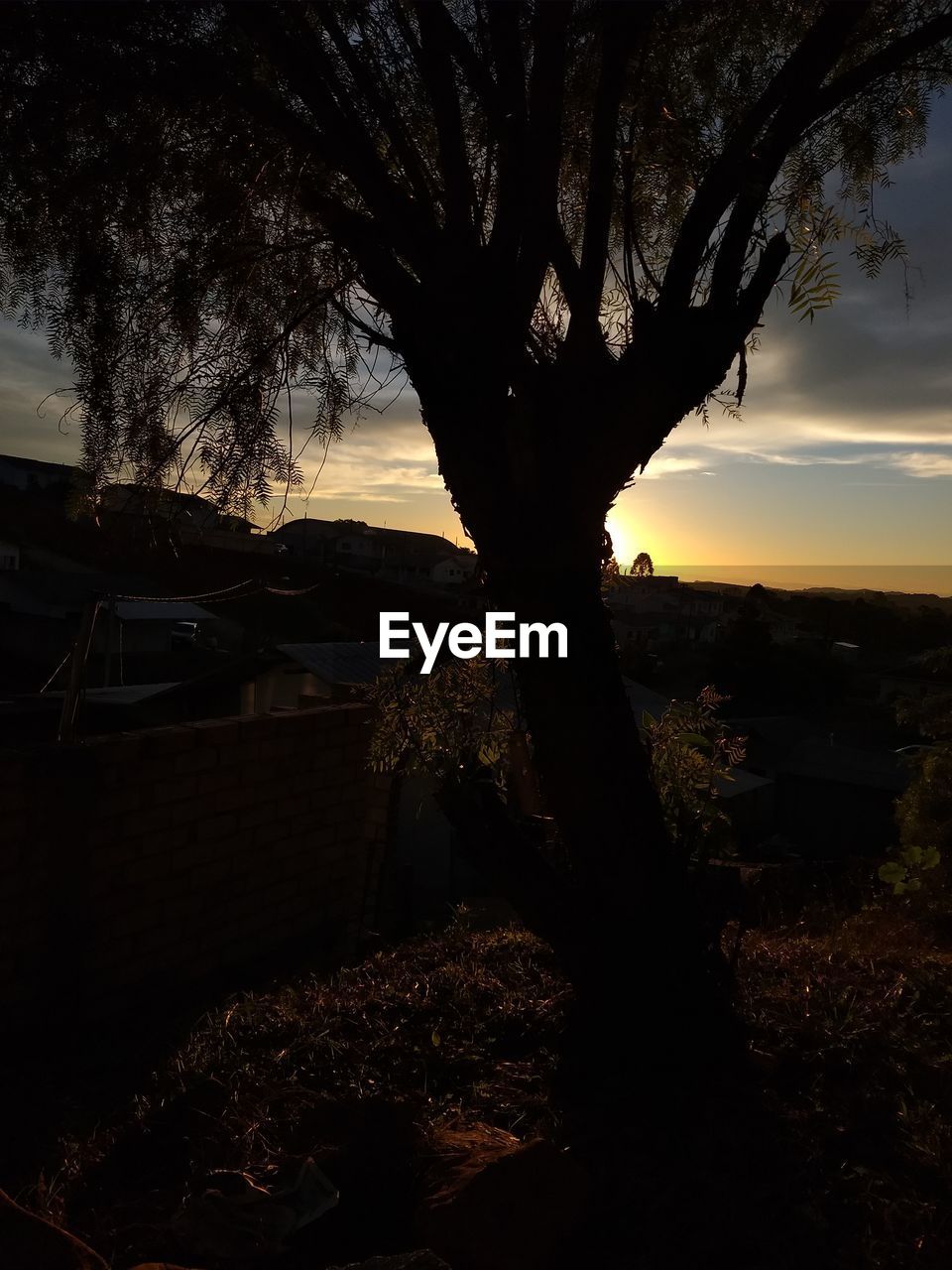 SILHOUETTE TREE AGAINST SKY DURING SUNSET