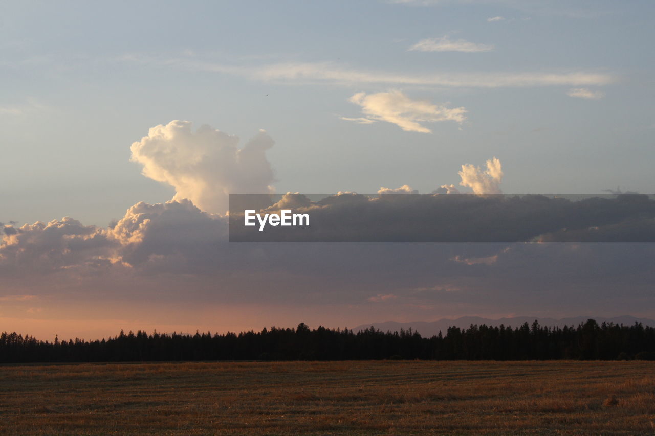 Scenic view of field against sky during sunset