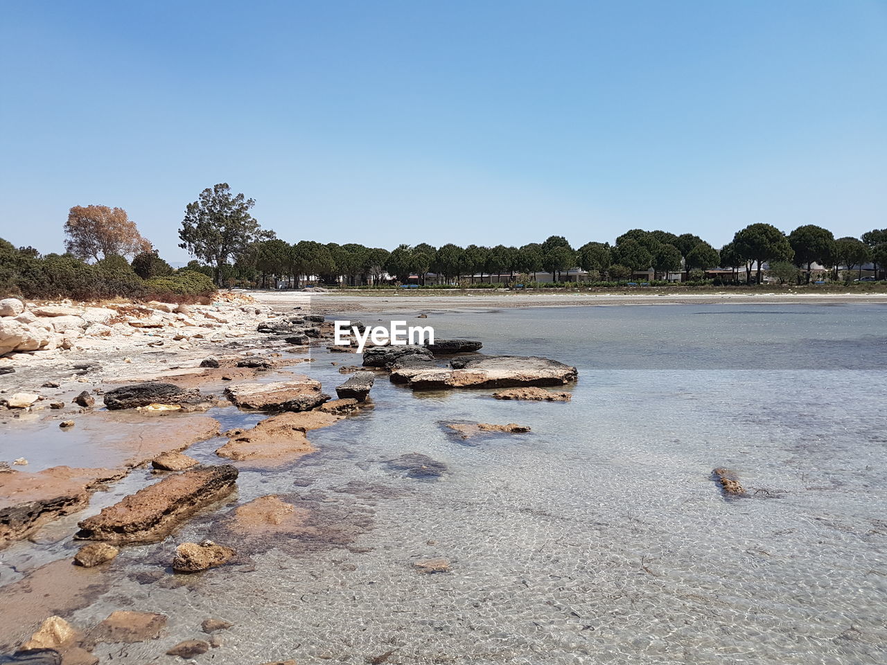 Scenic view of beach against clear sky