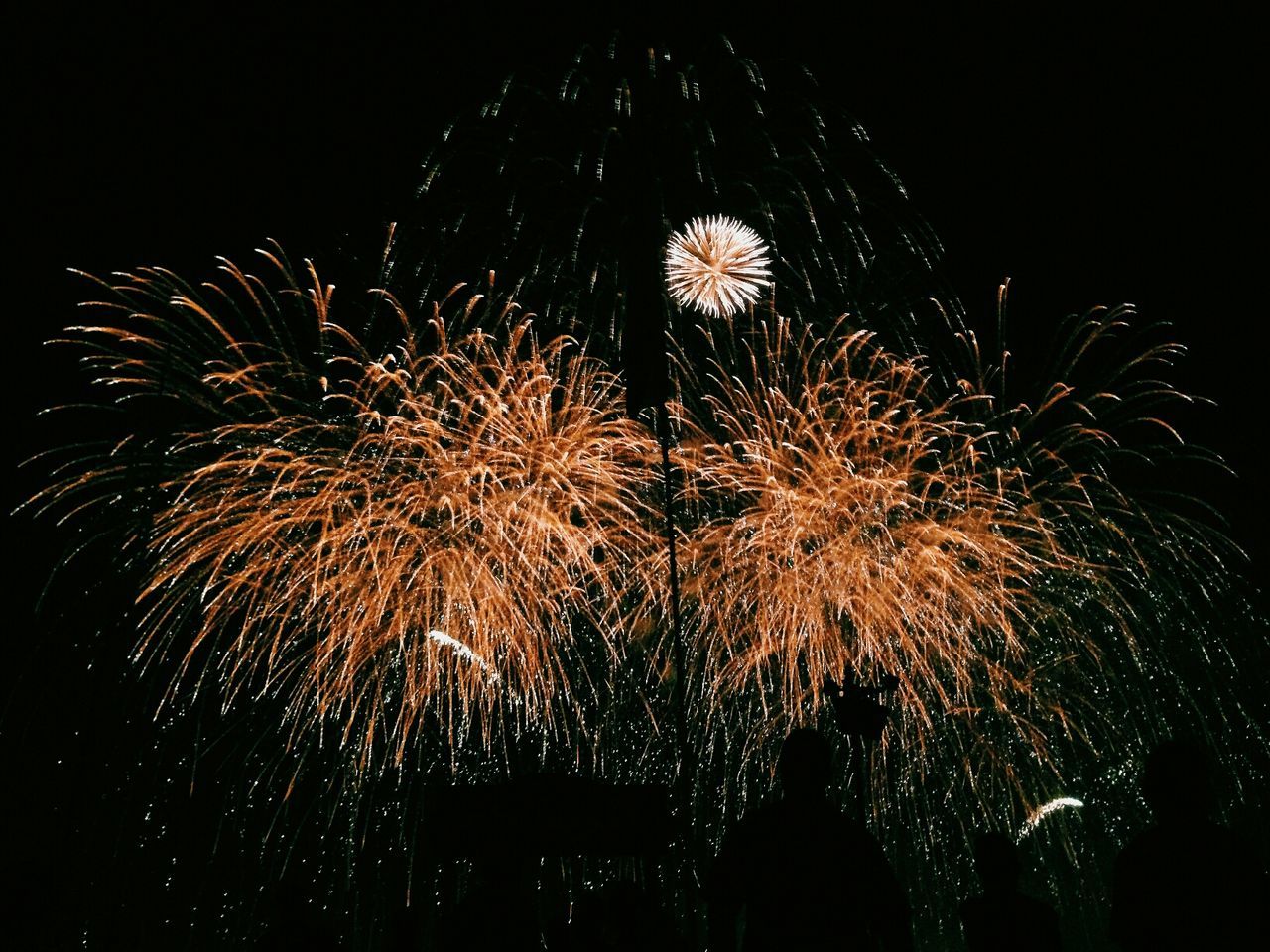 Close-up of dandelion flower against fire crackers in the dark