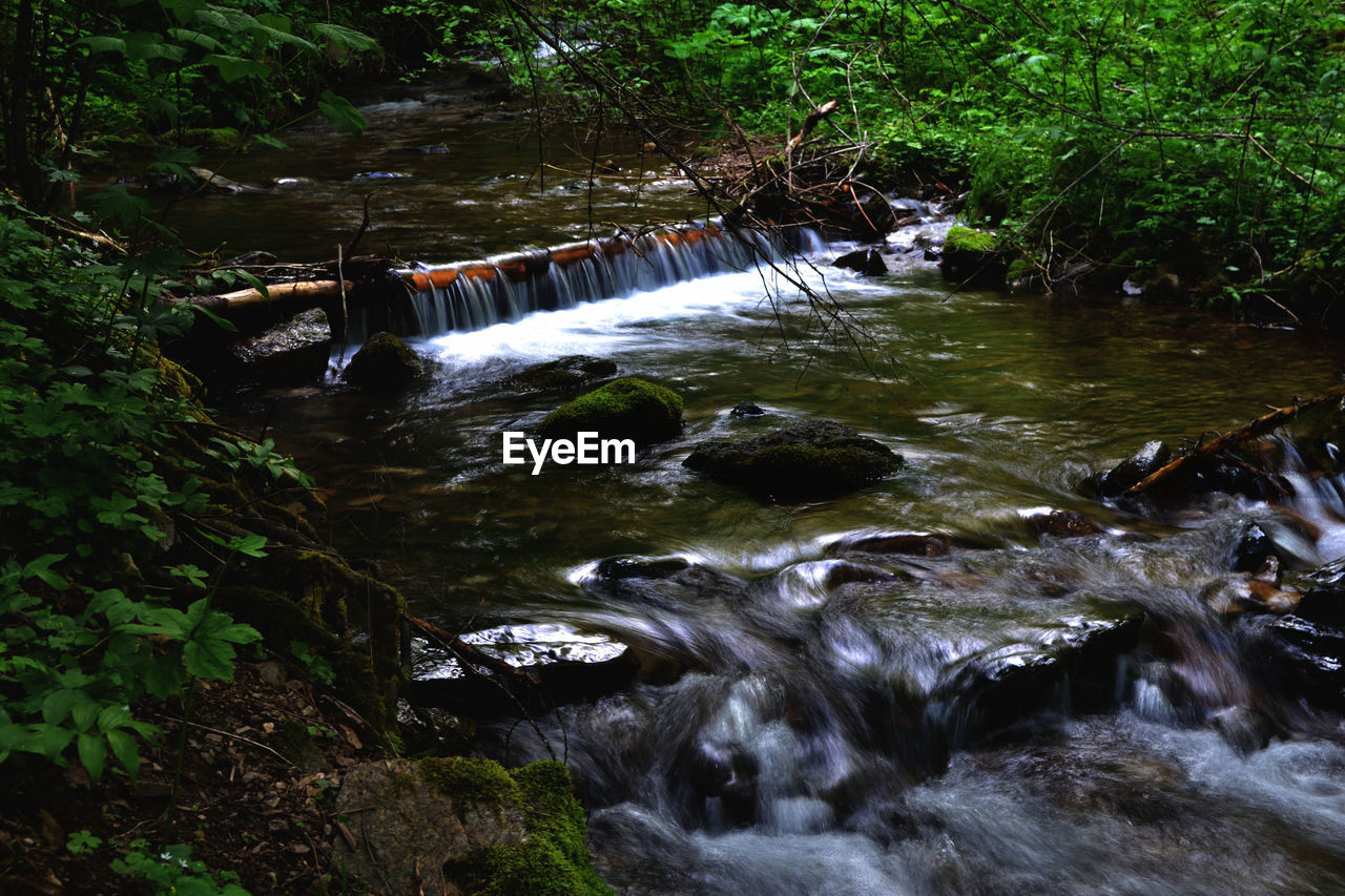SCENIC VIEW OF STREAM FLOWING IN FOREST