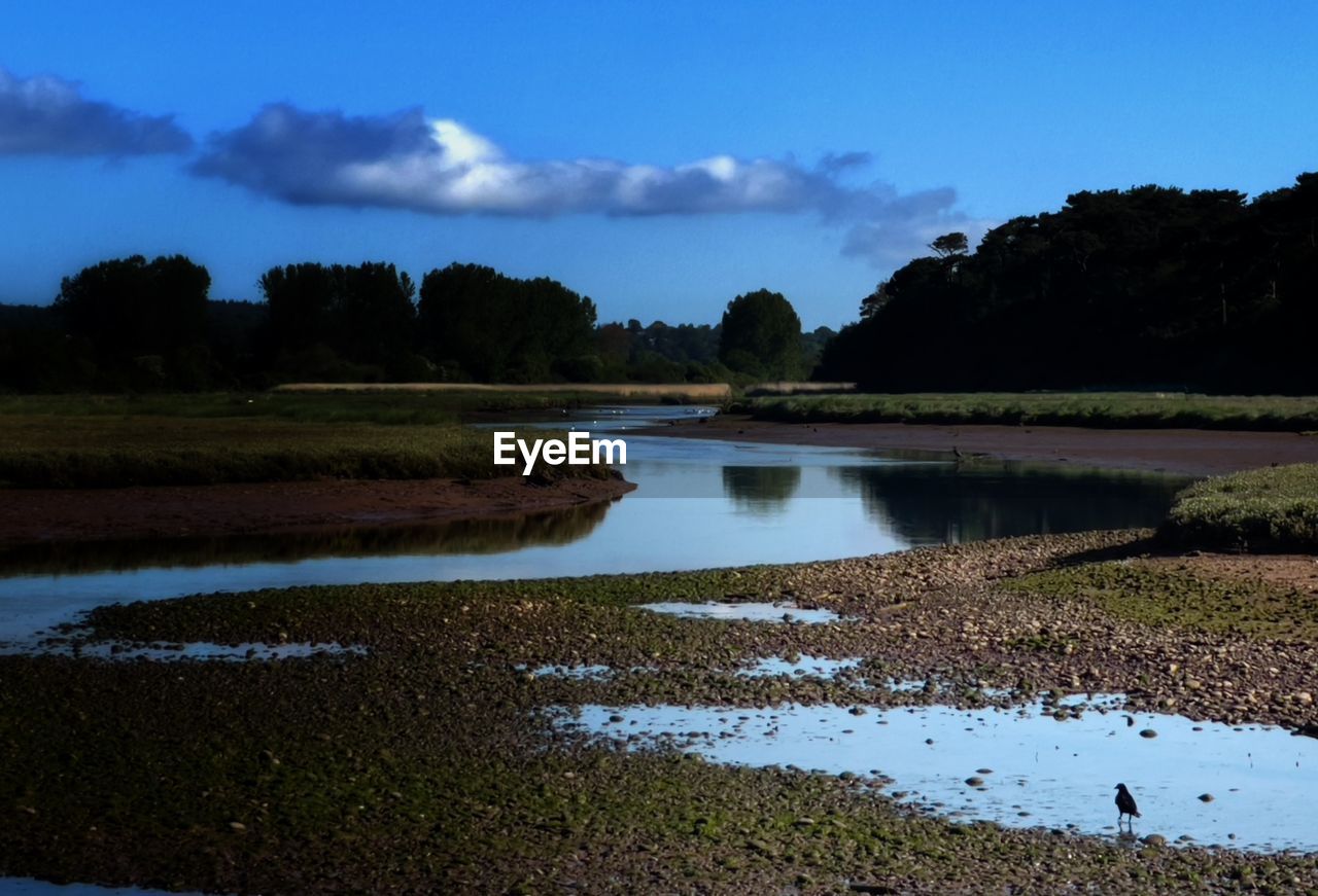 LAKE AMIDST TREES AGAINST SKY