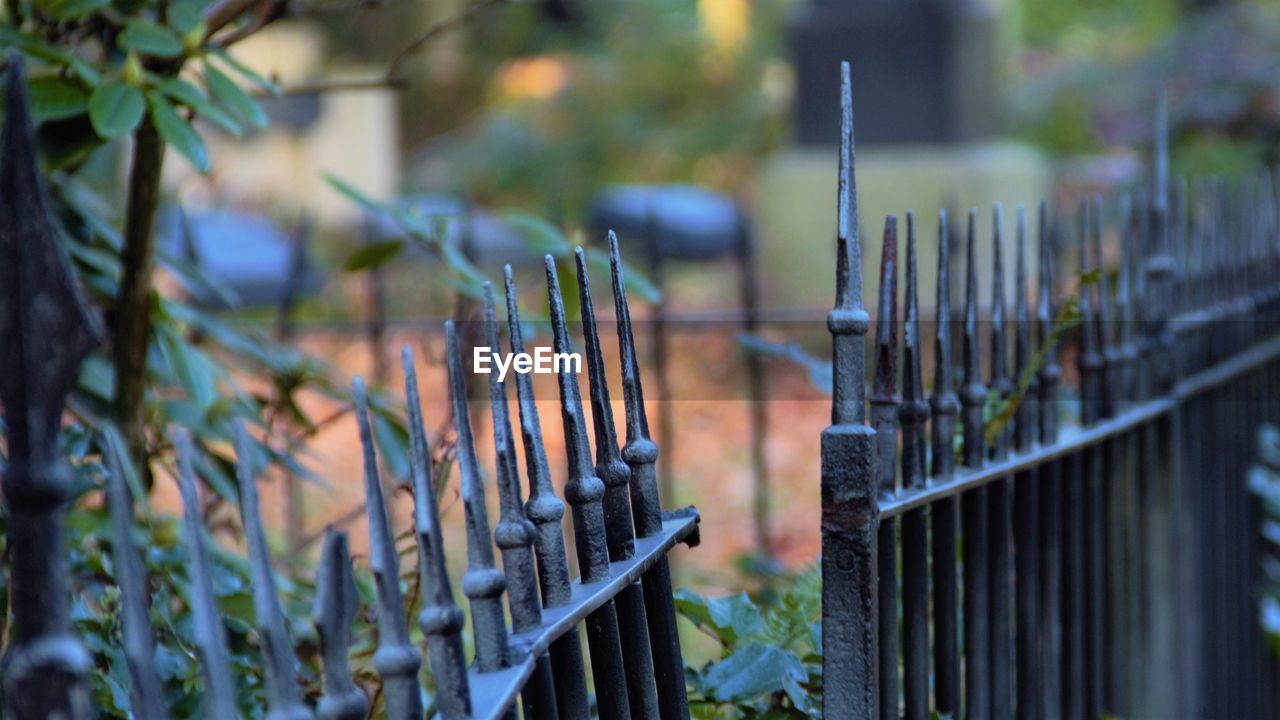 CLOSE-UP OF METAL FENCE AGAINST PLANTS