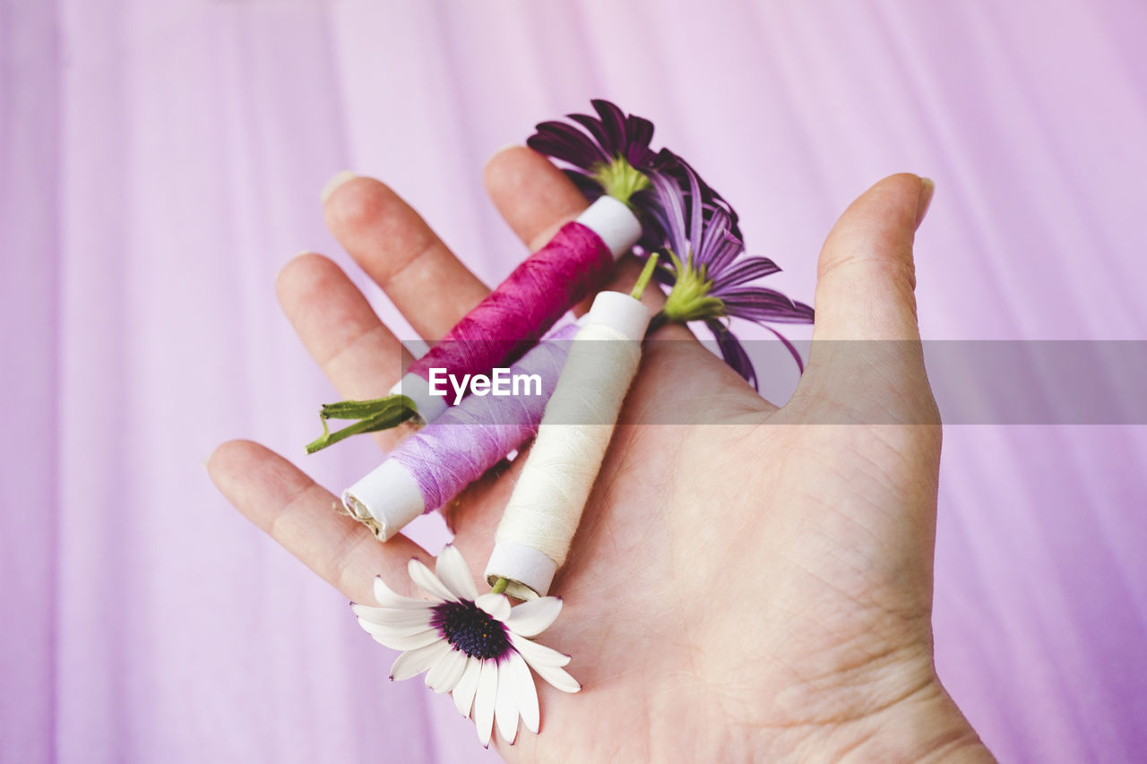 pink, purple, hand, finger, petal, flower, one person, violet, holding, lilac, lavender, flowering plant, nail, close-up, yellow, indoors, fashion accessory, adult, plant, ring, jewelry, studio shot, jewellery, freshness, women, lifestyles