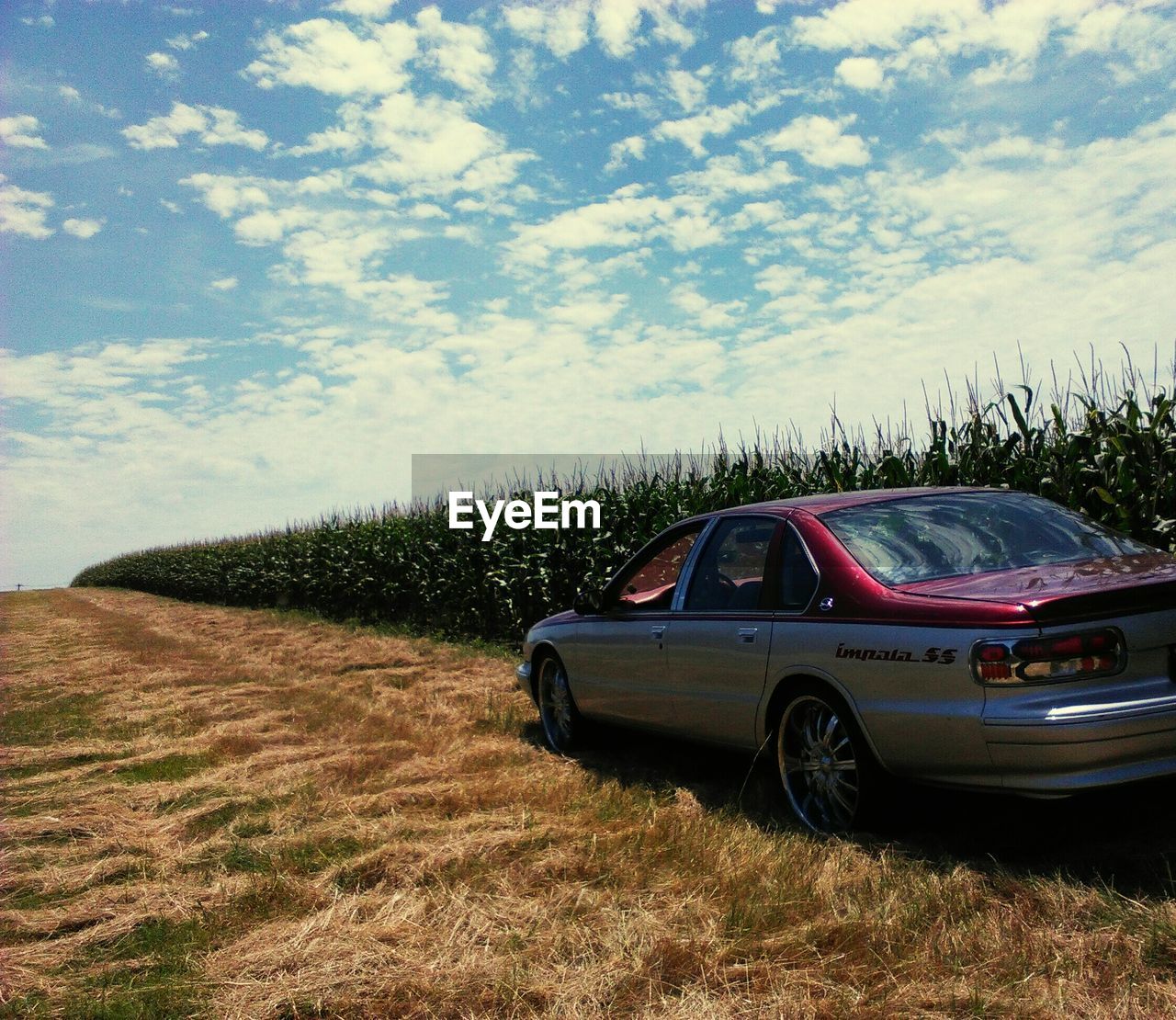 CAR ON FIELD