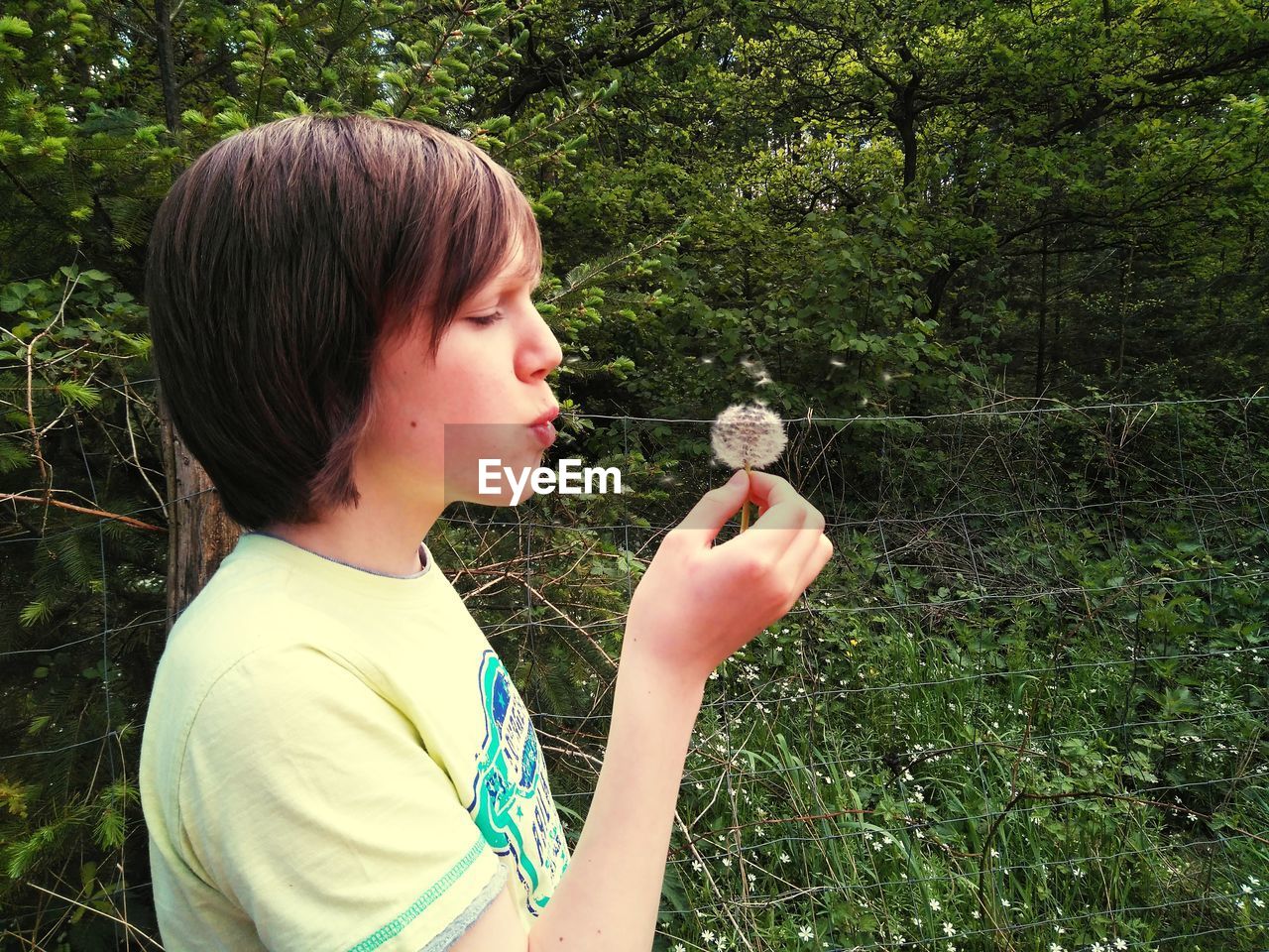 Side view of boy blowing dandelion