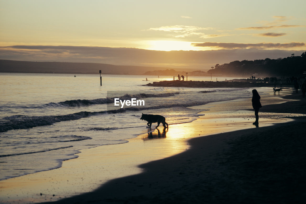 beach, water, sky, land, sea, sunset, nature, dog, pet, body of water, domestic animals, silhouette, sunlight, wave, beauty in nature, canine, ocean, animal, sand, mammal, animal themes, one animal, men, coast, horizon, lifestyles, shore, dawn, reflection, evening, scenics - nature, walking, leisure activity, cloud, sun, two people, tranquility, outdoors, motion, adult, shadow, tranquil scene, sports, full length, idyllic