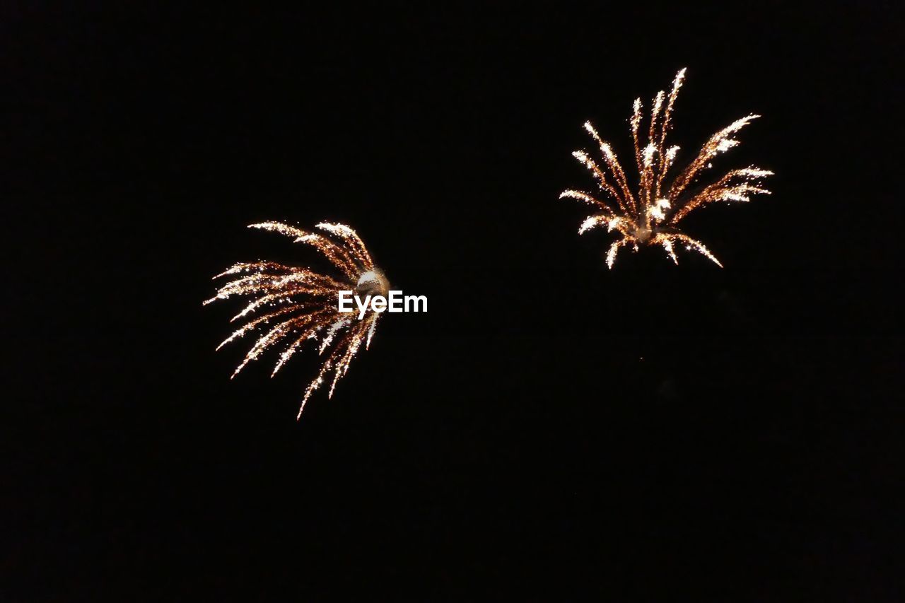 LOW ANGLE VIEW OF FIREWORKS IN SKY AT NIGHT