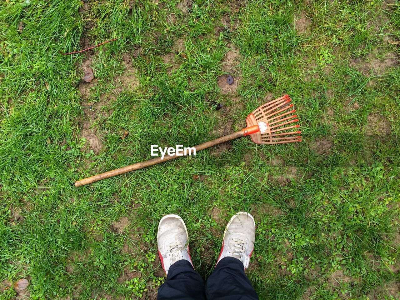 Low section of person standing on grassy field