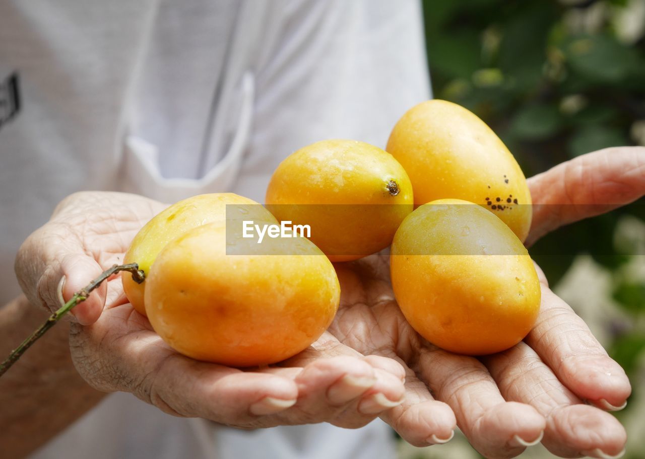 midsection of man holding oranges