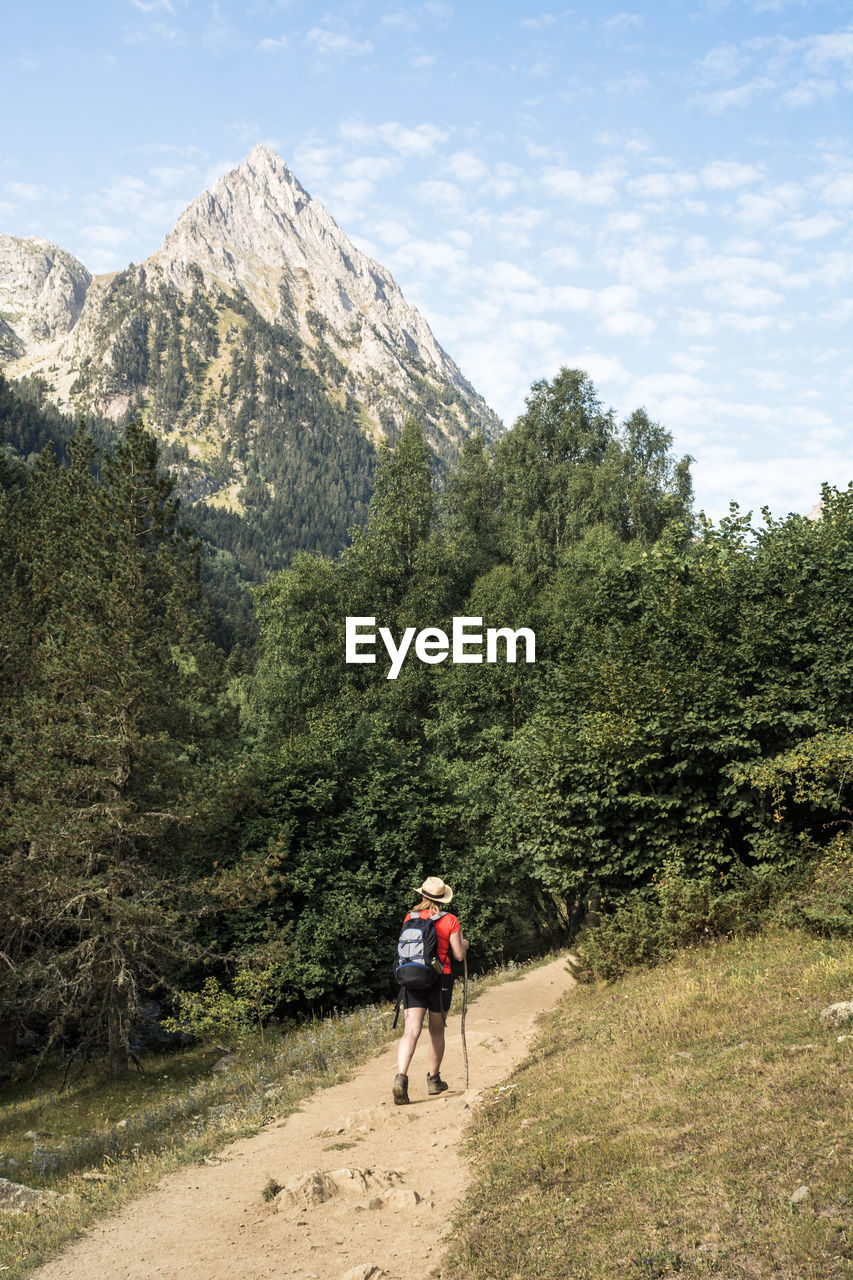 Rear view of man walking on mountain