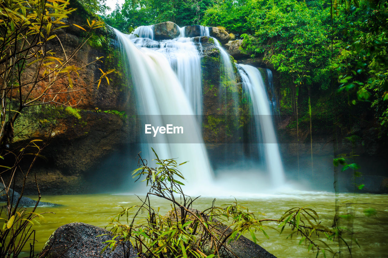 WATERFALL IN FOREST