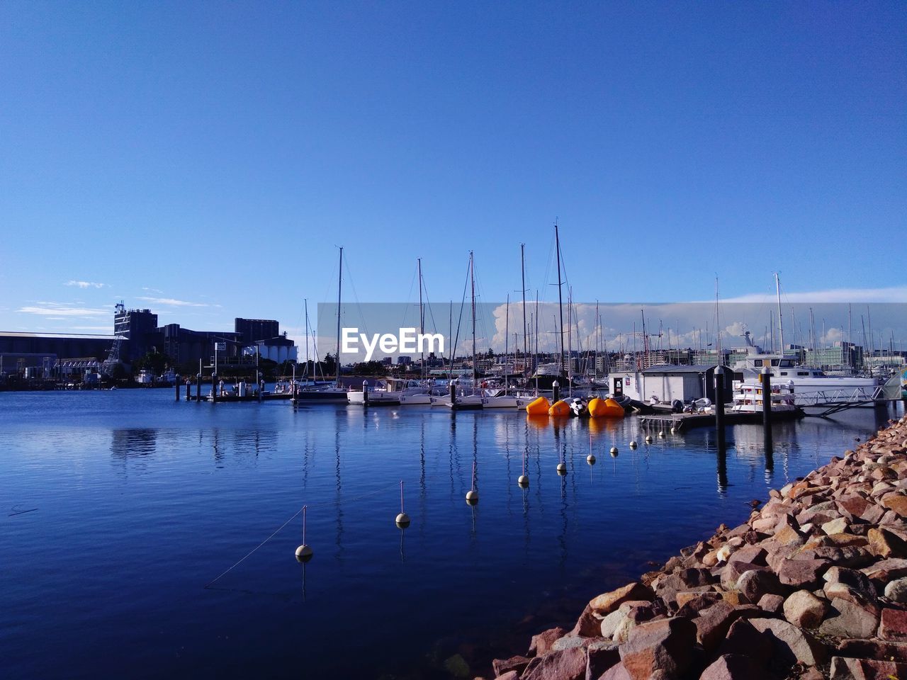 SAILBOATS MOORED IN MARINA