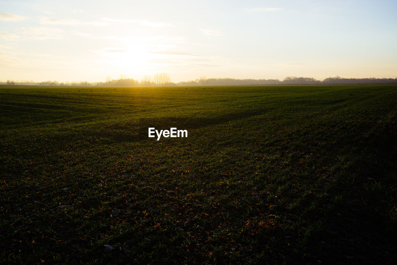 SCENIC VIEW OF AGRICULTURAL FIELD AGAINST SKY DURING SUNSET