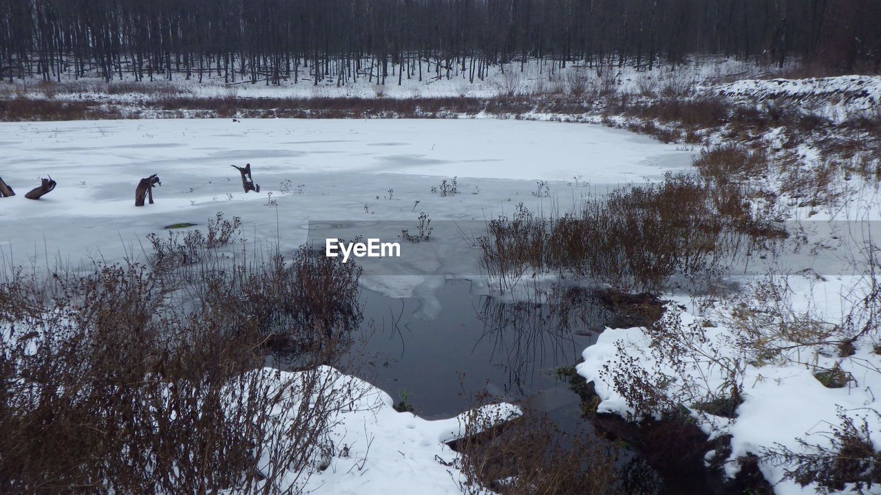 A lake and cold natural landscape with water in winter