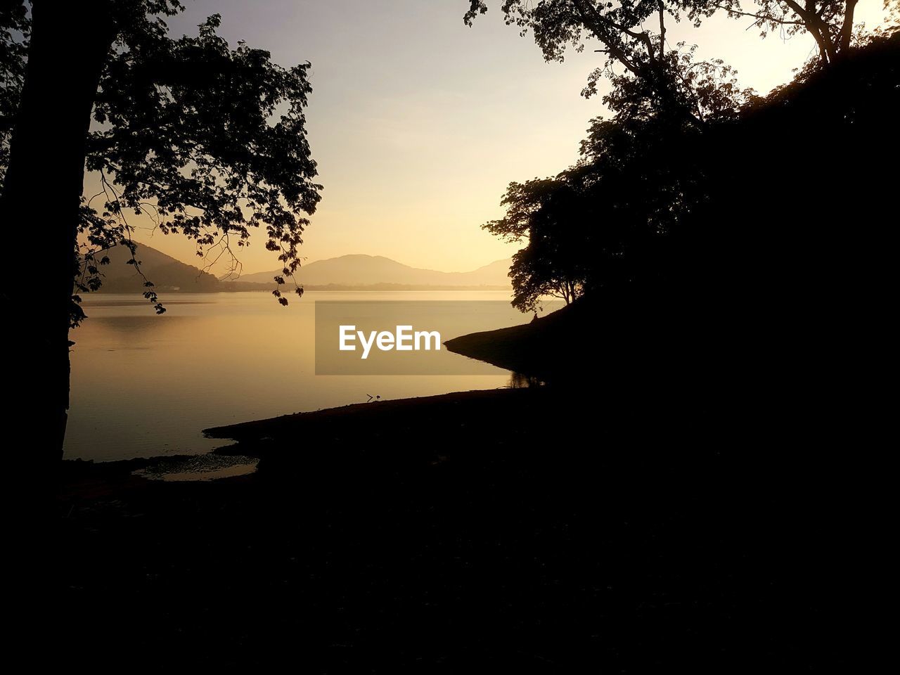 SILHOUETTE TREES BY LAKE AGAINST ORANGE SKY