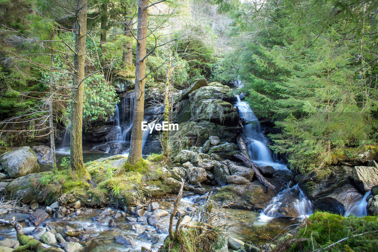 Idyllic view of waterfalls in forest