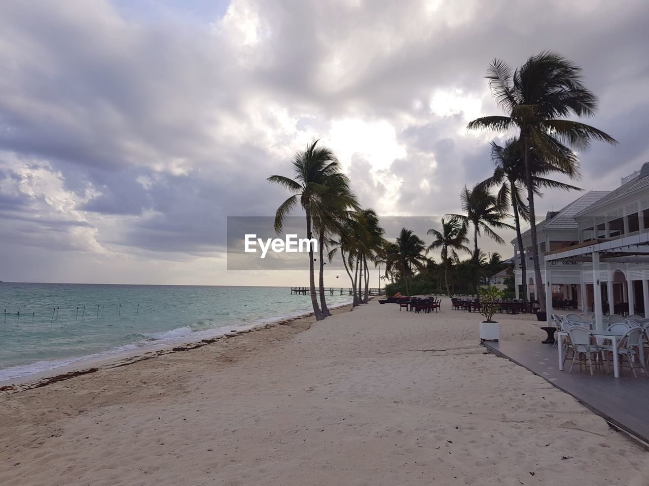 SCENIC VIEW OF PALM TREES ON BEACH