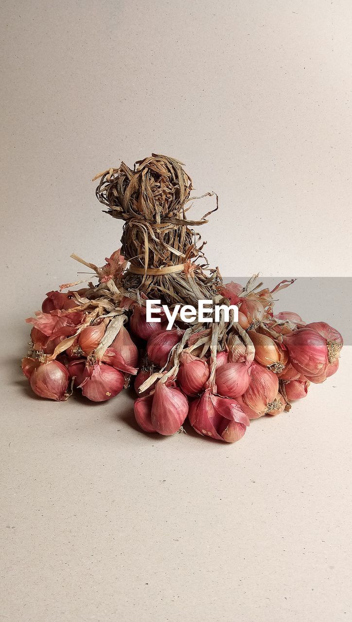 CLOSE-UP OF DRIED PLANT ON WHITE TABLE