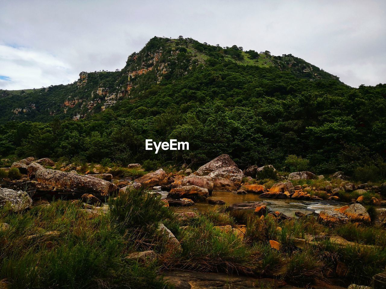 TREES AND ROCKS ON MOUNTAIN AGAINST SKY