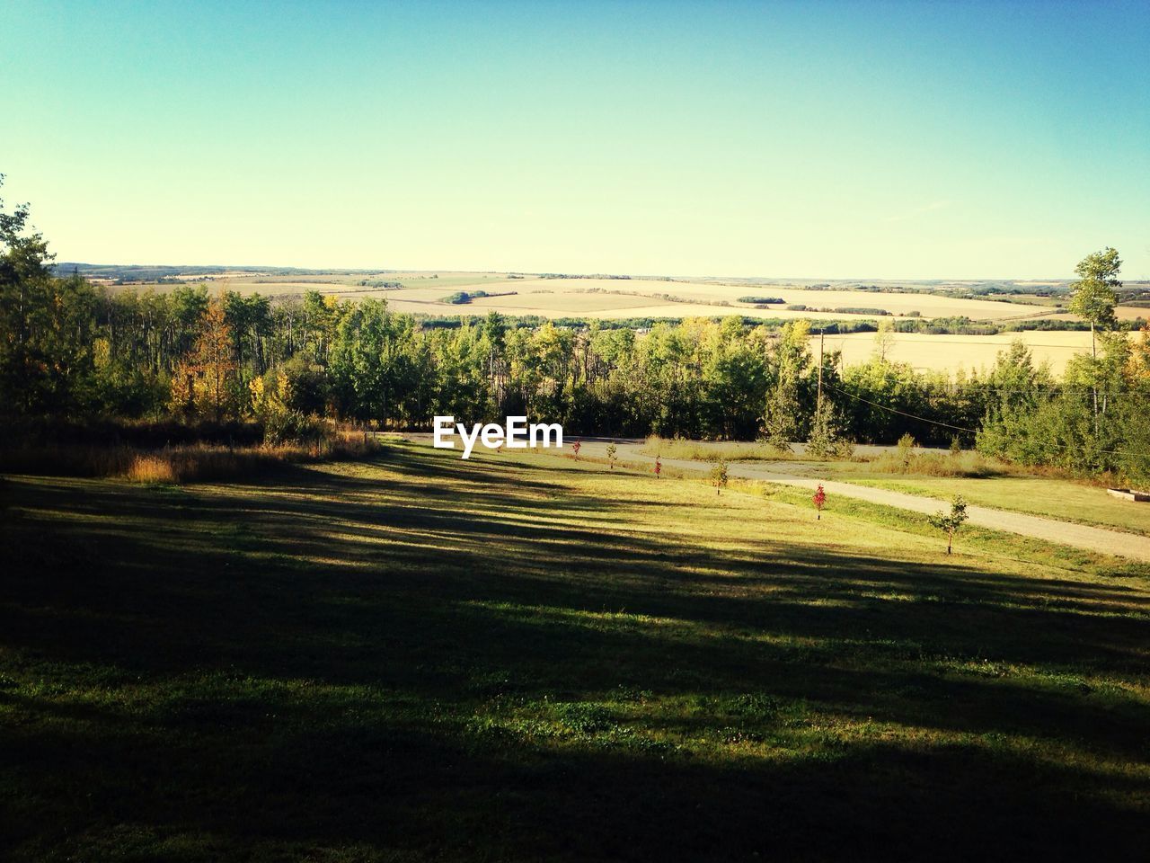 View of grassy field against clear sky