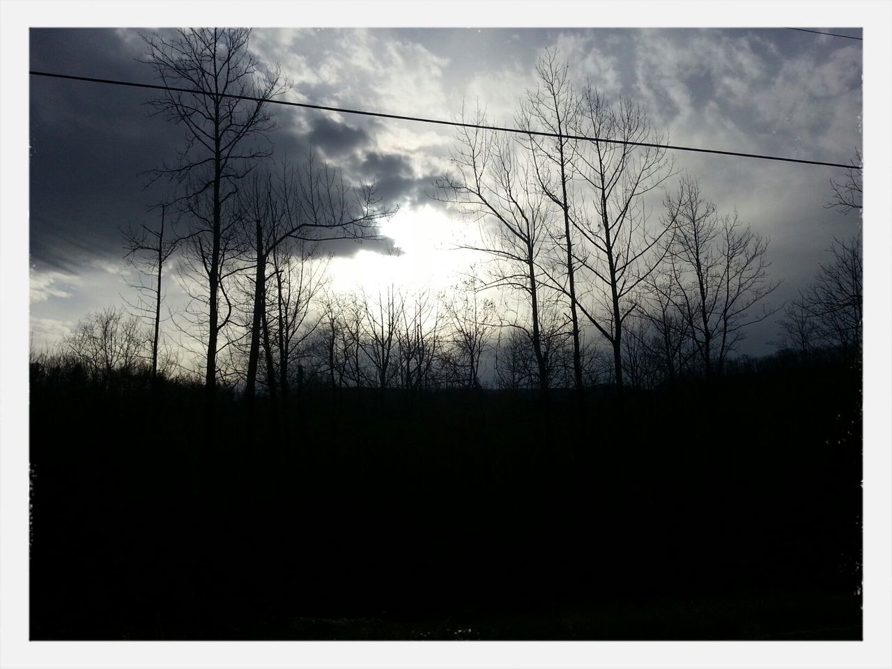 Low angle view of bare trees against sky