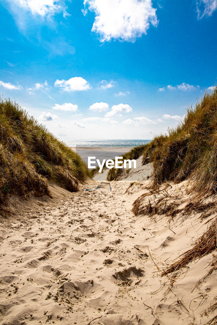 Scenic view of beach against sky