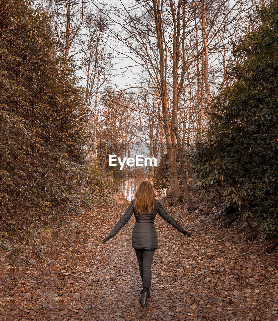 Rear view of woman walking in forest